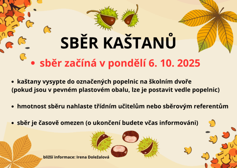 Sběr kaštanů 2025 zahájen