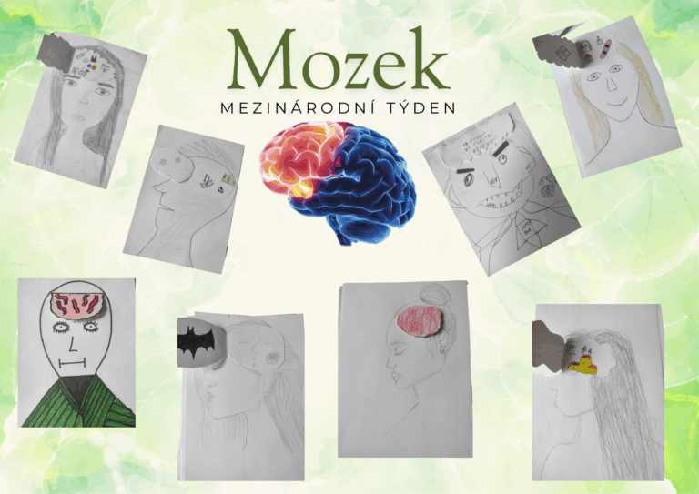 Mezinárodní týden mozku, aneb co mají v hlavě sedmáci?